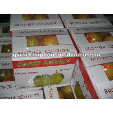 Pomelo de Shaddock de frutas frescas